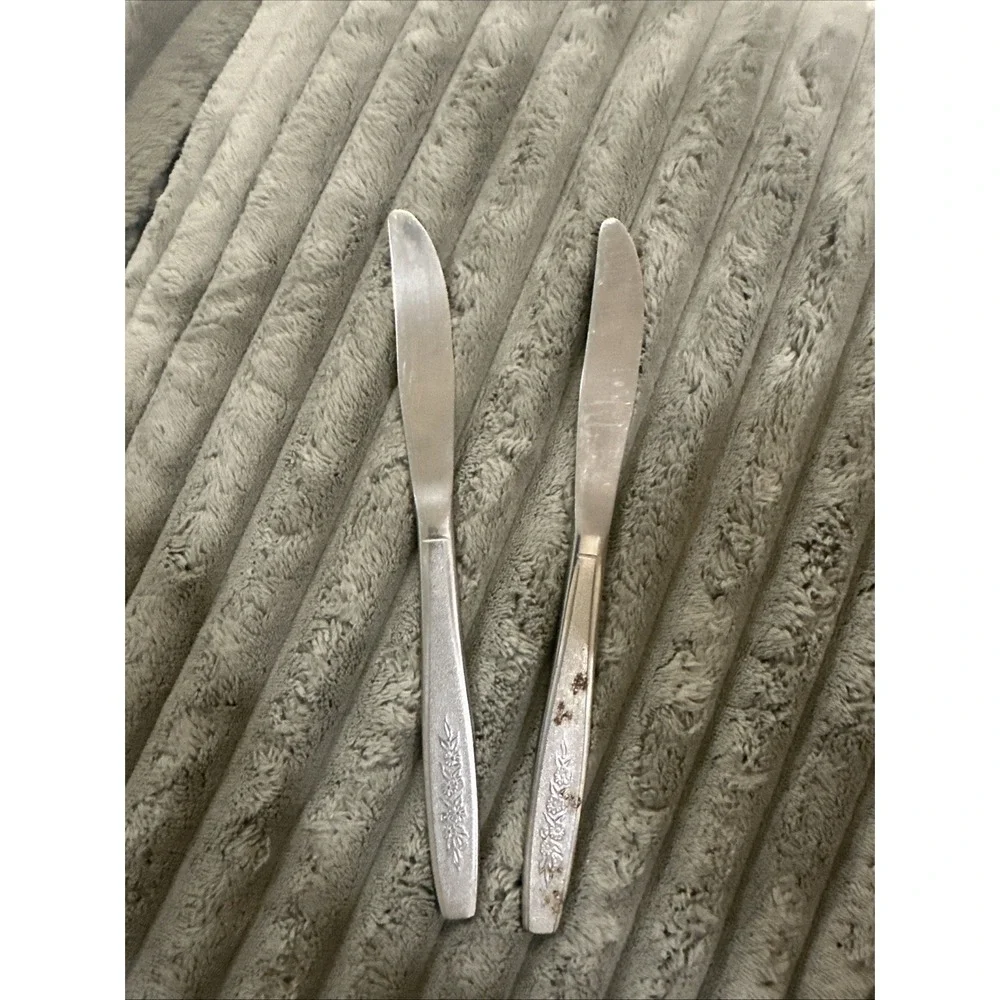 Vintage Mid Century Floral Oneida Spring Ballad (2) Dinner Knives Stainless Read